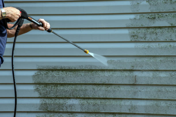 Best Roof Pressure Washing  in Oil City, PA
